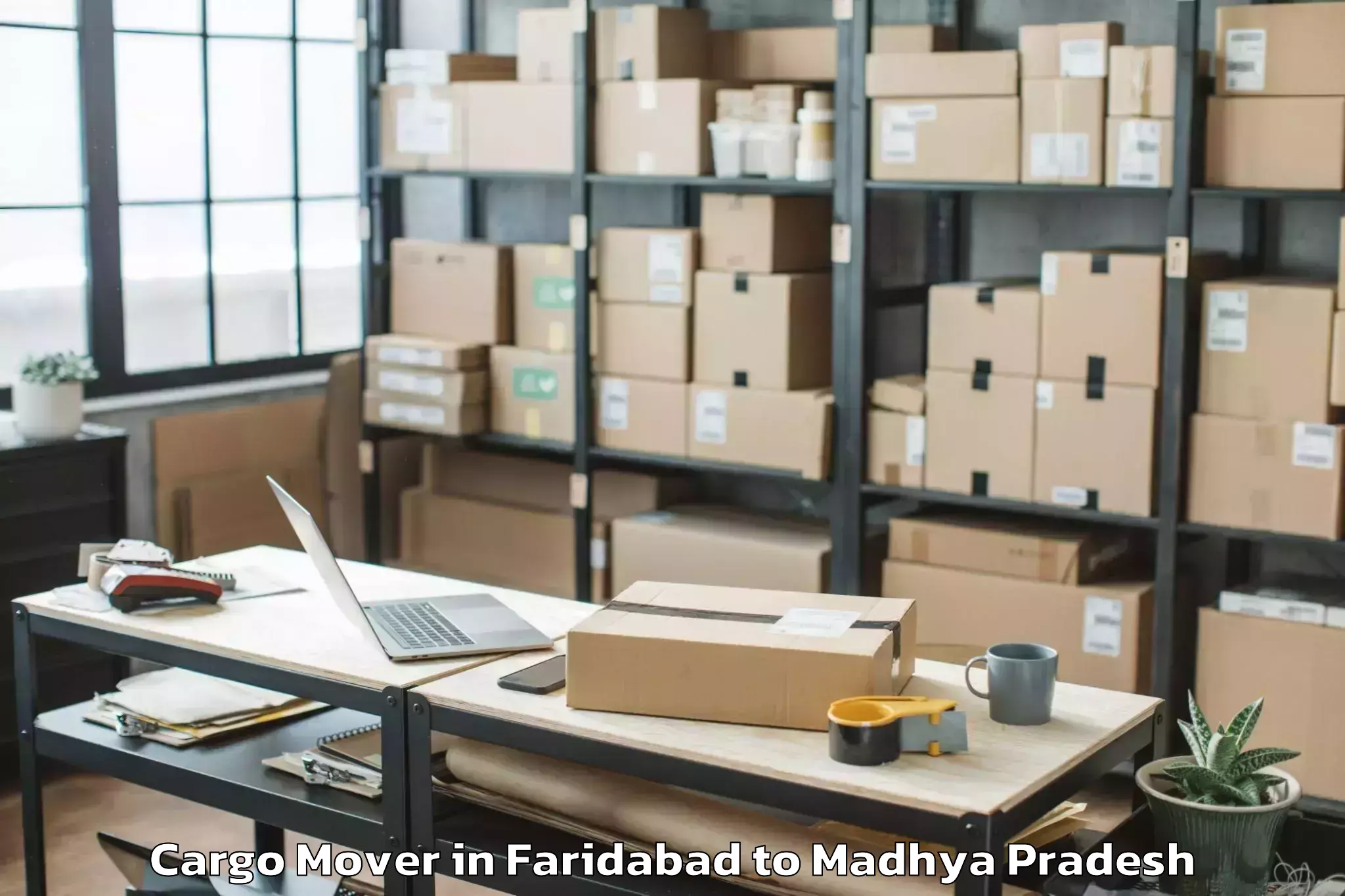 Quality Faridabad to Gwalior Airport Gwl Cargo Mover